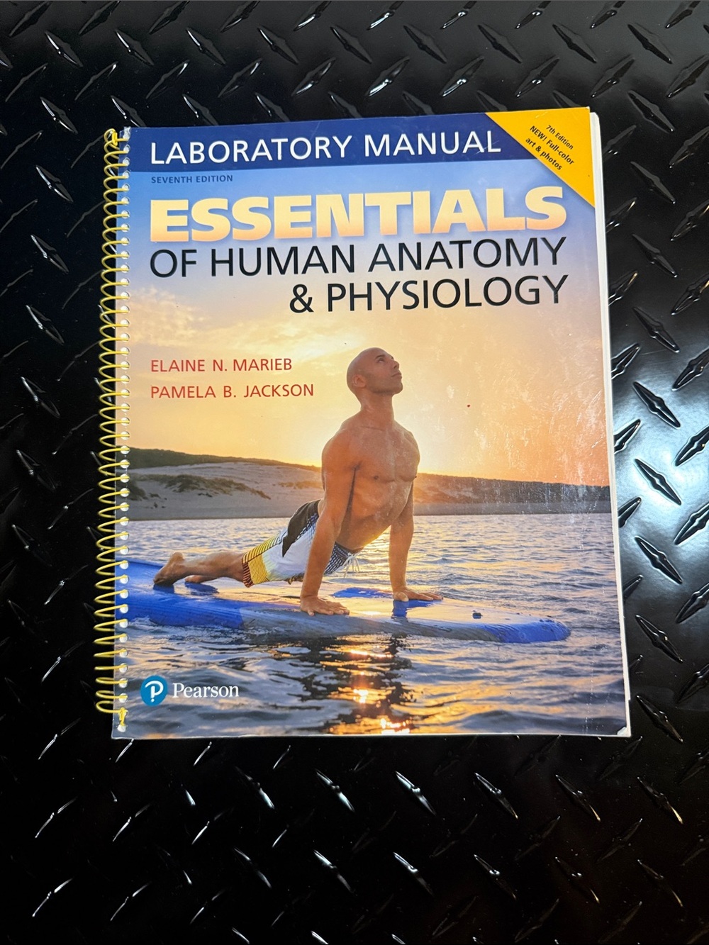 Pearson Essentials of Human Anatomy & Physiology Laboratory Manual - Blue/Yellow
